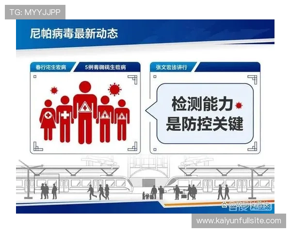 免费波胆交流群避坑指南 平台对比防骗版